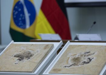 Brasil quer recuperar dinossauros e patrimônios que estão em 14 países